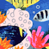 fishcampfl